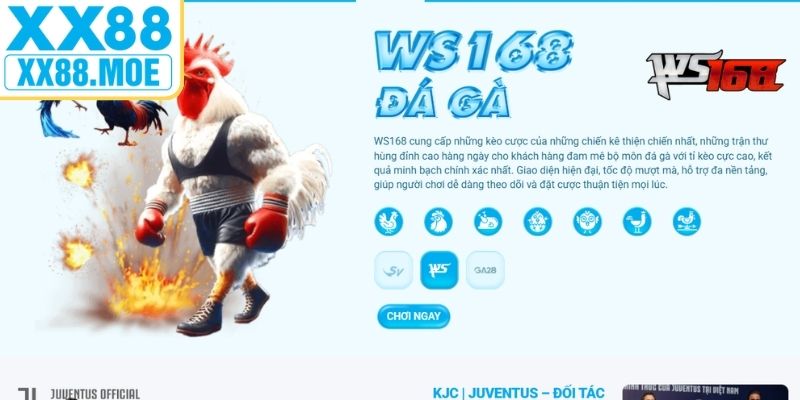 Ưu điểm nổi bật của đá gà dành cho anh em