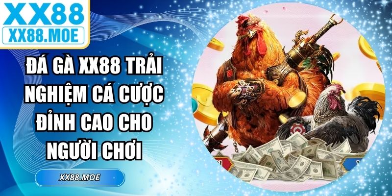 Đá Gà XX88 Trải Nghiệm Cá Cược Đỉnh Cao Cho Người Chơi