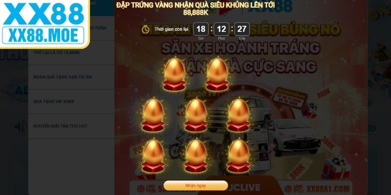 Các điểm nhấn quan trọng được trình bày trong chuyên mục